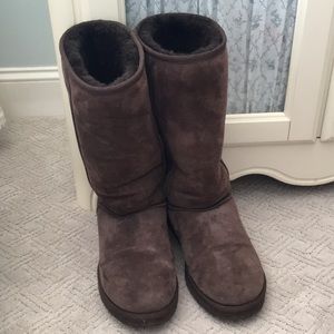 Authentic UGGs with Sheepskin Cate Kit